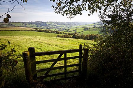UK’s National Trust to sell off fossil fuel investments worth £45 million, says New Scientist