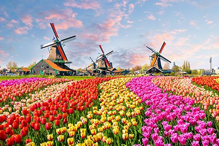 Ohmium and HYGRO partner up on Dutch wind and hydrogen project