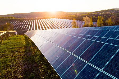 Renewable Connections gets green light for Codrington Solar Farm