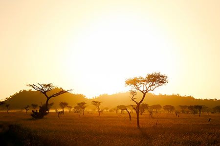 Azelio and JET ENERGY team on African solar and energy storage projects