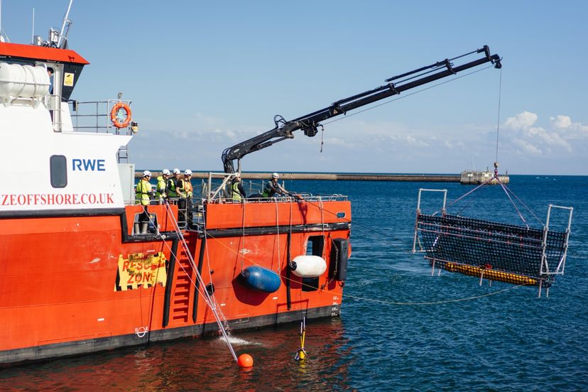 SeaMe lays the foundations for a comprehensive assessment of marine environment in offshore wind farms
