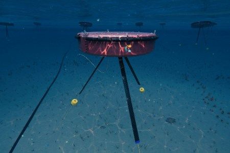 SKF and Carnegie Clean Energy enter wave energy technology partnership