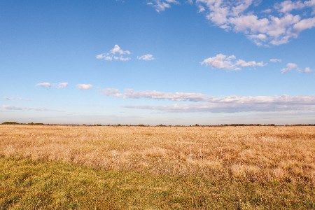 DP Energy announces plans to develop 1400 MW wind farm in Australia