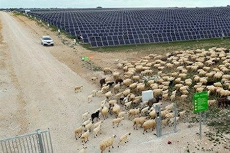 Iberdrola and Ingeteam to hybridise existing solar plants with new storage systems