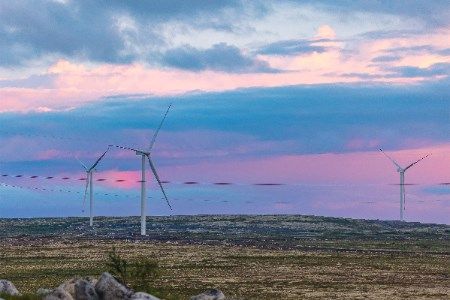 Axpo inaugurates Lålax wind farm in Finland