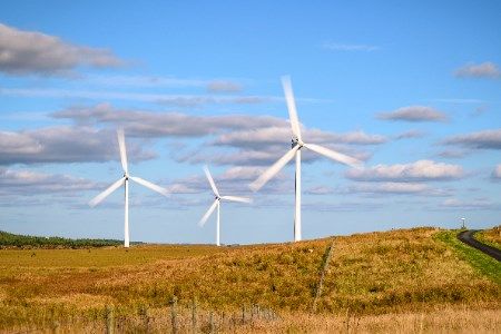 CIP reaches financial close on Pestera II onshore wind farm