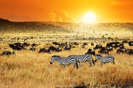 Solarise Africa obtains investment for African clean energy