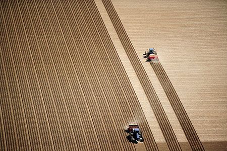WFW advises Orrön Energy on sale of 91 MW German agrivoltaic project