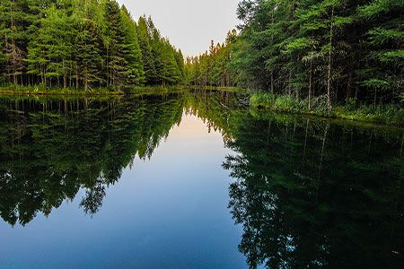 E.ON to offer all-renewable power