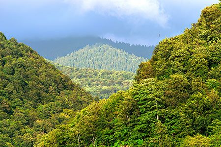 Total dedicates global investment fund to carbon neutrality