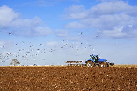 BayWa .r.e. fuse solar power and agriculture with EU funding