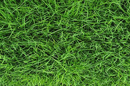 SolarEdge explores agrivoltaic potential in Swedish county