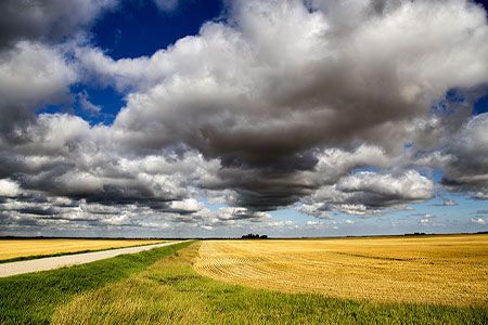 Clean Energy’s RNG facility in Iowa begins production