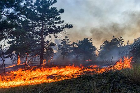 GCube: Prepare solar assets for wildfire season