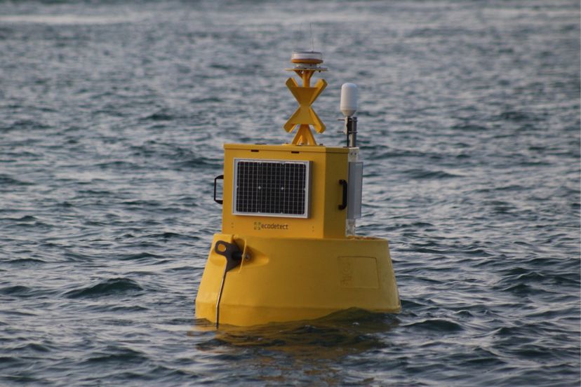AI wildlife detection announced for Inyanga’s tidal stream energy project