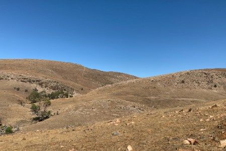 Tilt Renewables approves Palmer wind farm for construction in 2026