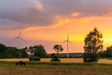 Ardian acquires 62 MW Furukraft wind farm from ERG