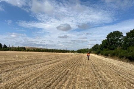 Eku Energy acquires transmission-connected BESS from TBC Partners